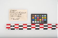 Etikett zu Bronzemehrkopfnadel (NHMW-PRAE-025955)